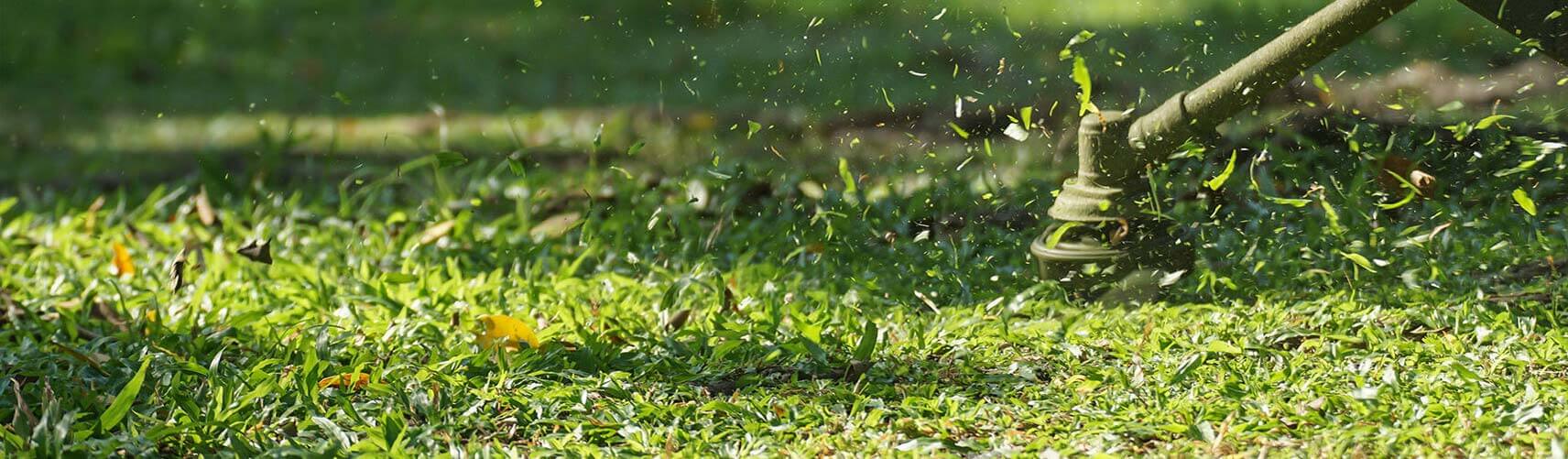 Jupiter Landscaping Company, Landscaper and Landscaping Services